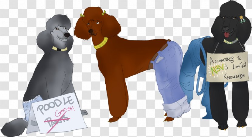 Standard Poodle Puppy Cat Dog Grooming - Drawing Transparent PNG