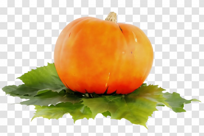 Orange - Plant - Vegan Nutrition Vegetarian Food Transparent PNG