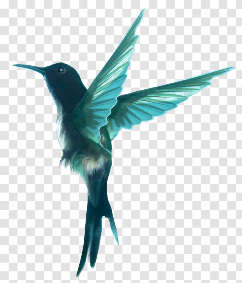 DeviantArt Stock Photography Hummingbird M - Beak - It Chapter Two Transparent PNG