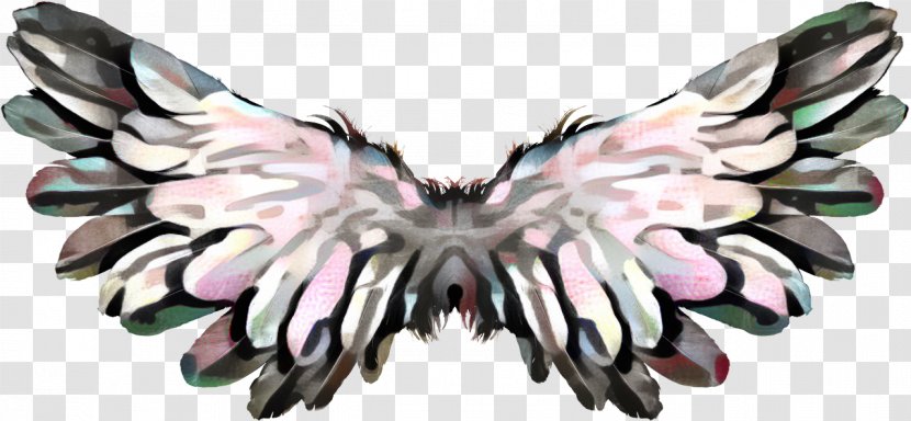 Angel Wings - Feather - Symmetry Insect Transparent PNG