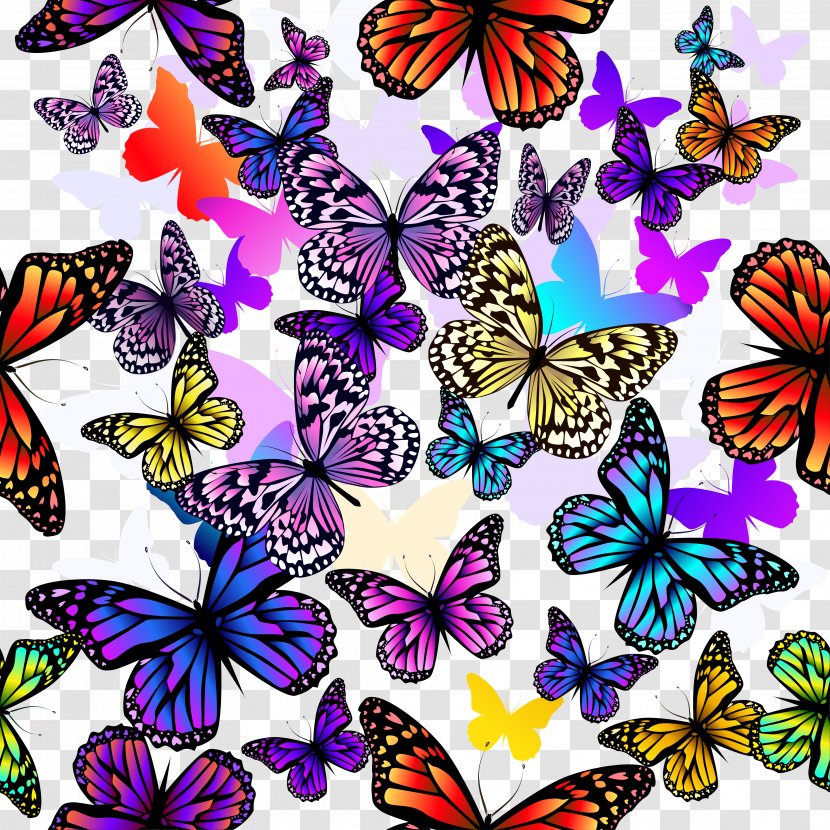 Butterfly Euclidean Vector Pattern - Snowflake - Colorful Group Material Transparent PNG