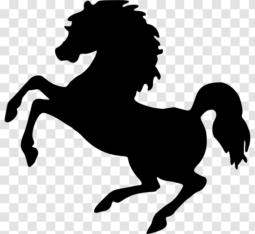 Stallion Mustang Rearing Equestrian Clip Art - Monochrome Photography Transparent PNG