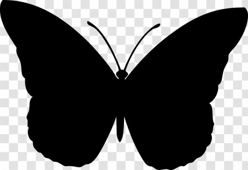 Butterfly Clip Art Vector Graphics Brush-footed Butterflies - Lepidoptera - Drawing Transparent PNG