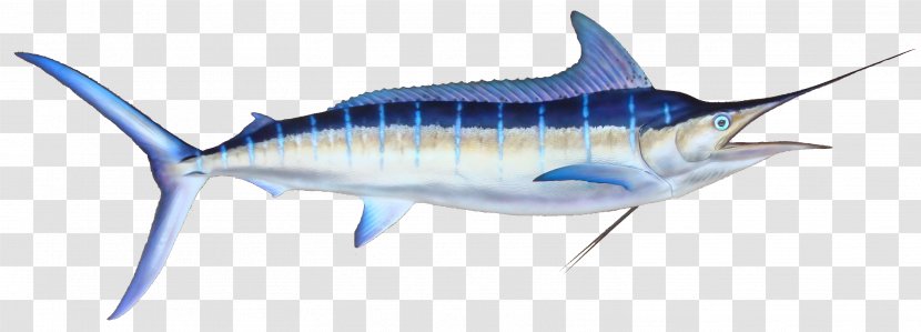Marlin Fishing Black Atlantic Blue - Strip Transparent PNG