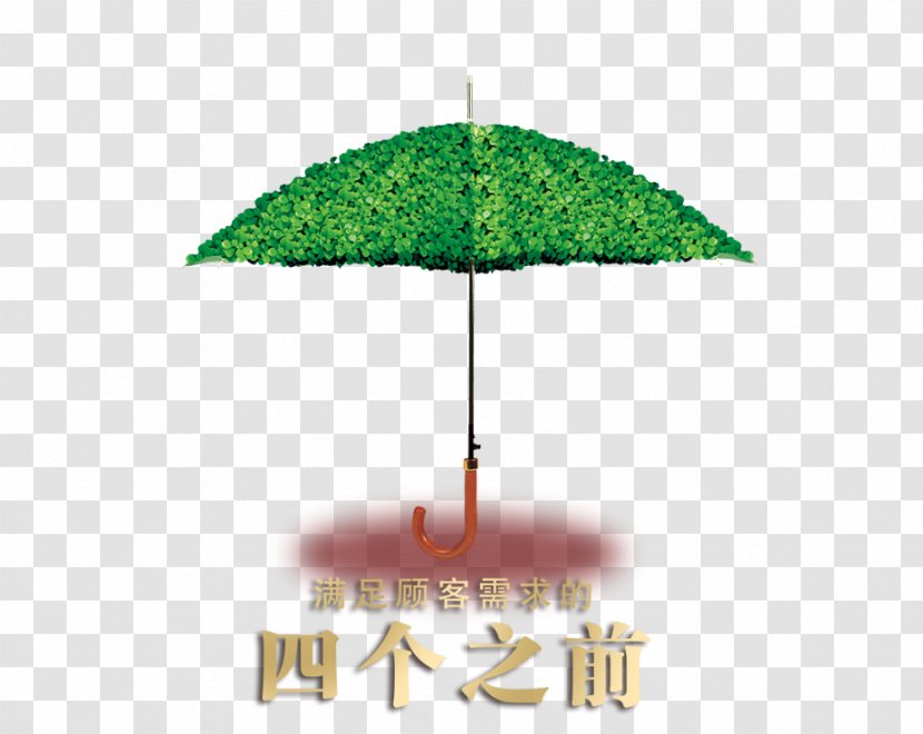 Green Umbrella - Creativity - Text Transparent PNG