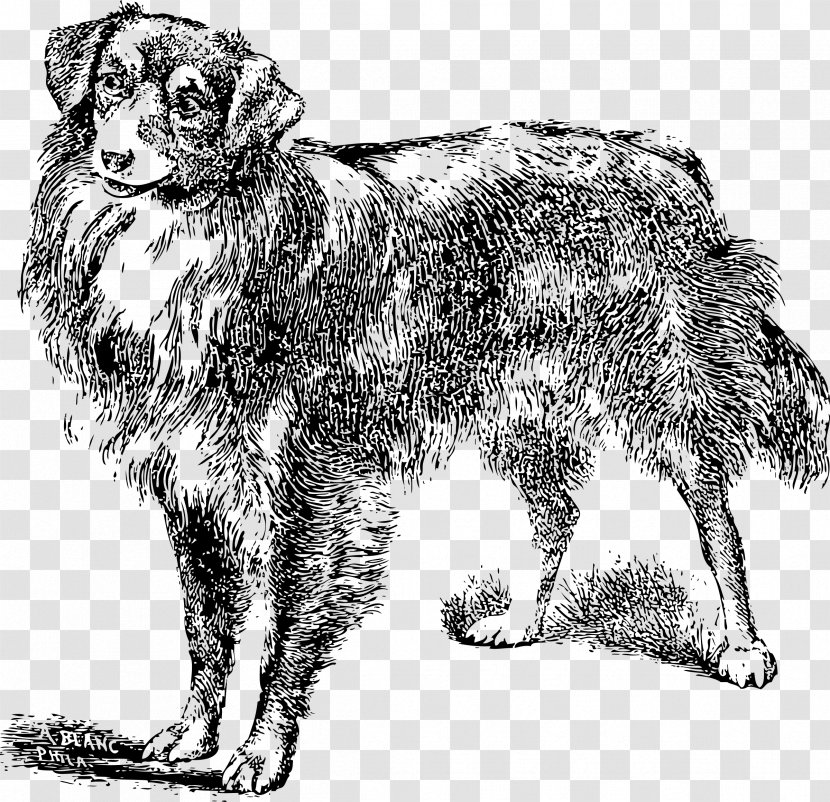 Dog Breed Dobermann Puppy Pekingese Rough Collie - Tail Transparent PNG