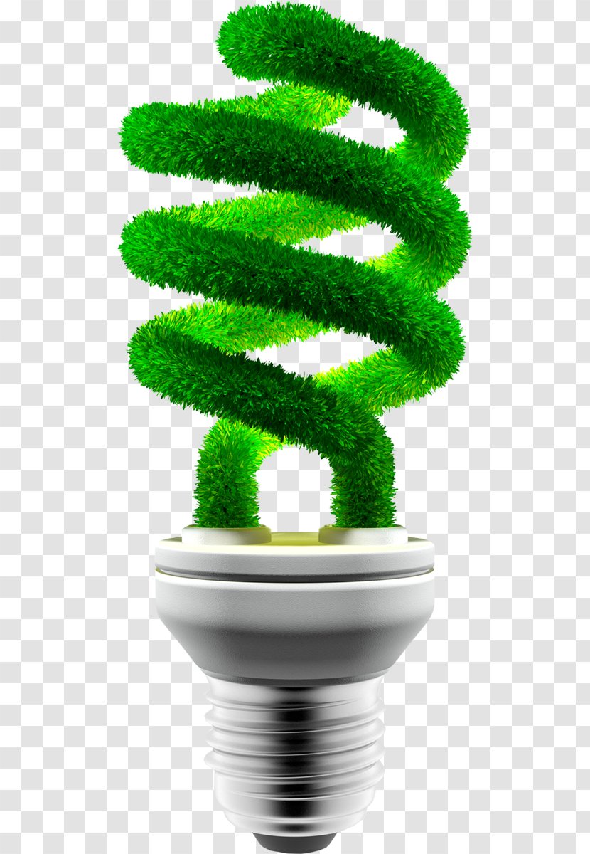 Energy Conservation Renewable Environmentally Friendly Incandescent Light Bulb Stock Photography - Saving And Environmental Protection Transparent PNG