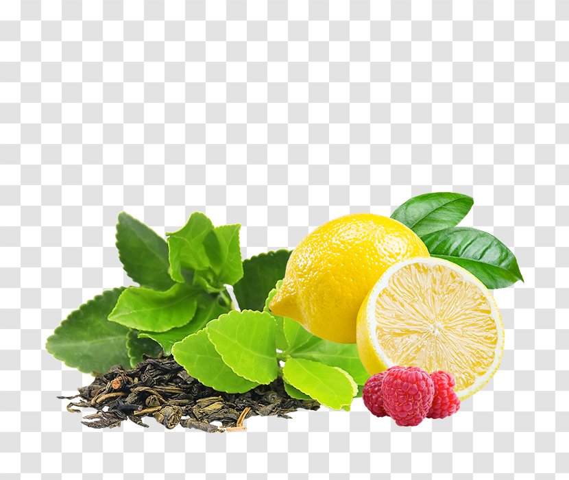 Green Tea Infuser Infusion Drink - Food - Lemonade Transparent PNG