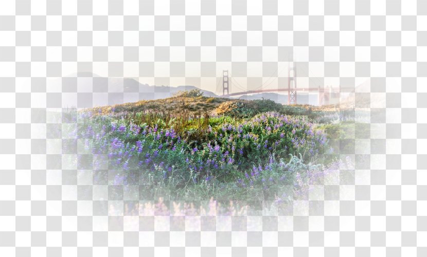 Bridge Landscape Scenic Viewpoint Water Resources - Sky Transparent PNG