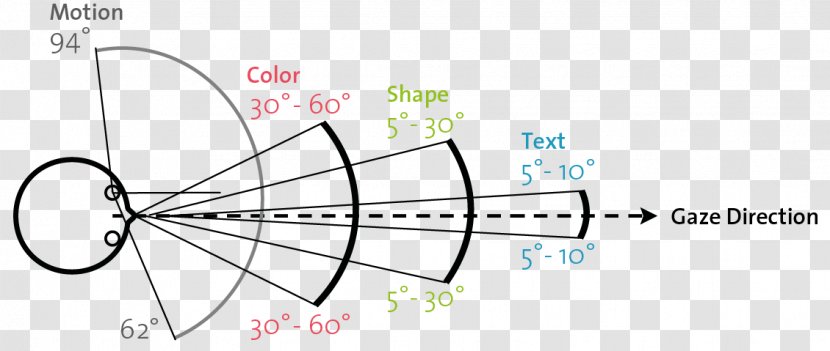 Field Of View Visual Perception Peripheral Vision Homo Sapiens - Silhouette Transparent PNG