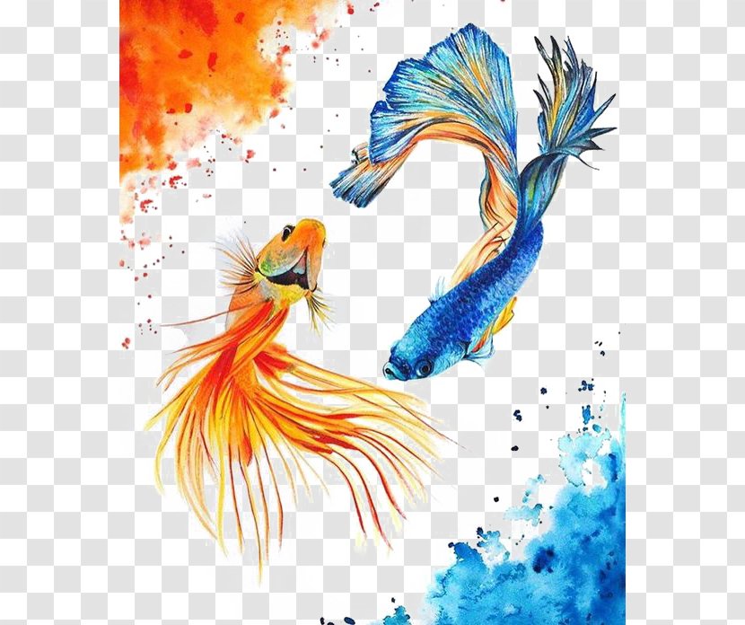 Koi Carassius Auratus Yin Yang Fish Watercolor Painting Transparent PNG