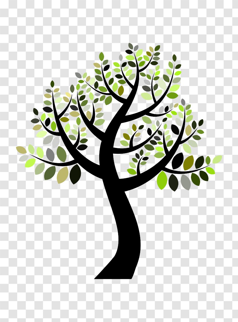 Branch Tree Plant Clip Art Leaf - Stem Flower Transparent PNG