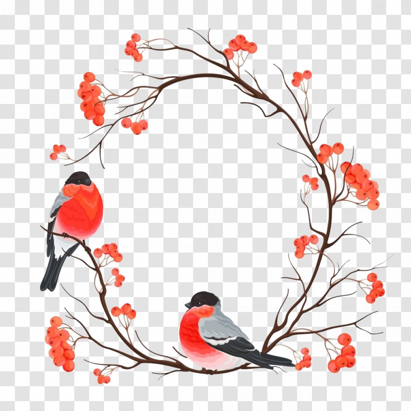Bird European Robin Christmas Snowman Painting - Valentine's Day Wreath Birds Transparent PNG