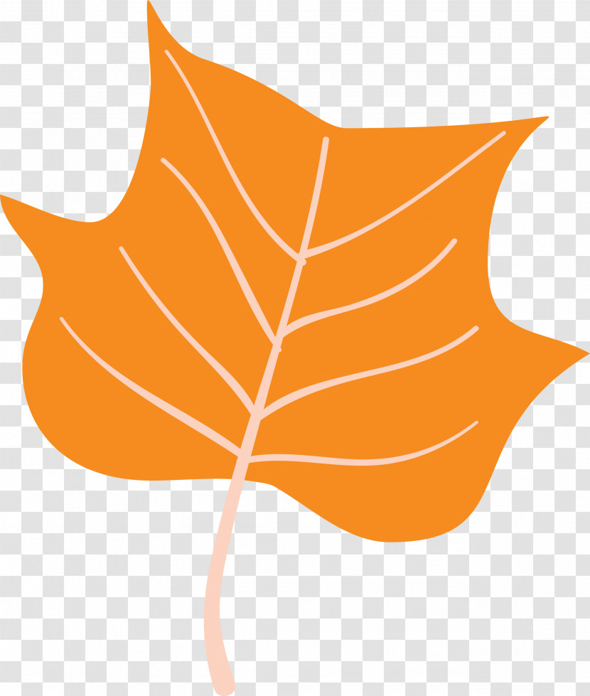 Autumn Leaf Colourful Foliage Colorful Leaves Transparent PNG