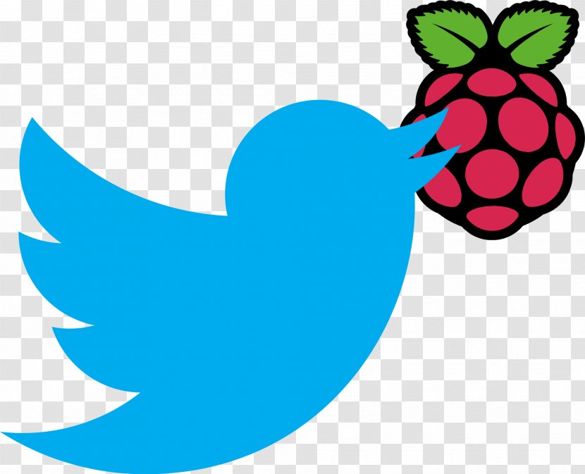 Raspberry Pi Foundation Computer Software Kodi - Leaf - Raspberries Transparent PNG