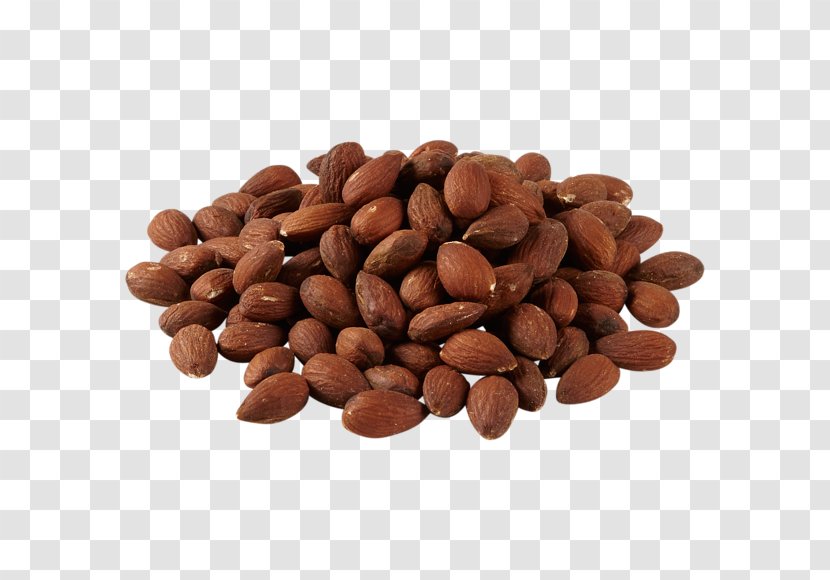 Fruit Tree - Commodity - Almond Seed Transparent PNG