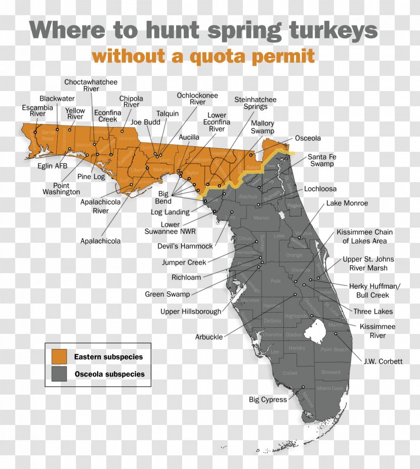 Osceola County, Florida Big Hammock Turkey Hunting Fish And Wildlife Conservation Commission - Deer - County Transparent PNG