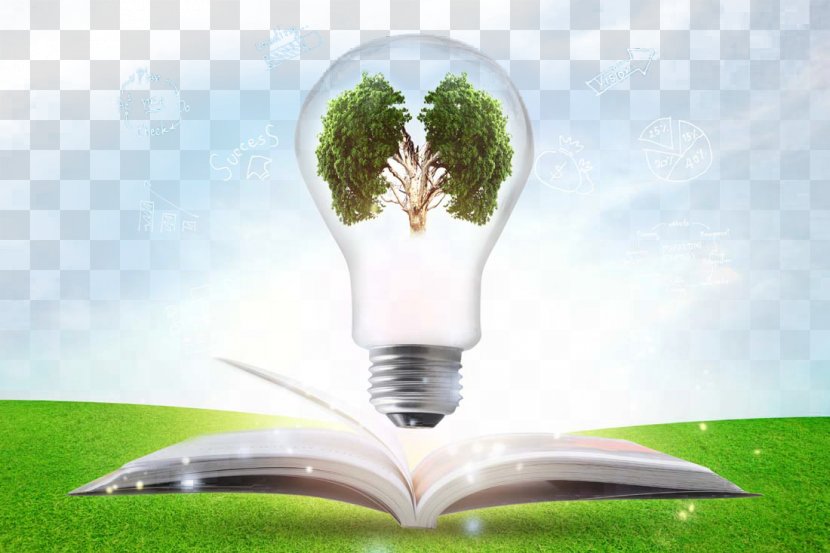 Creative Green Light Bulb - Environmental Protection - Plant Transparent PNG