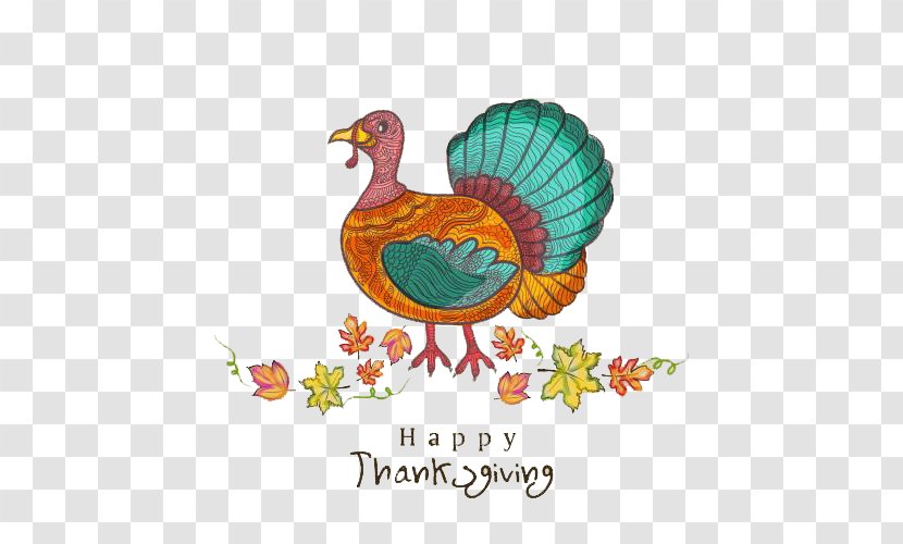 Turkey Thanksgiving Day Public Holiday - Fauna Transparent PNG