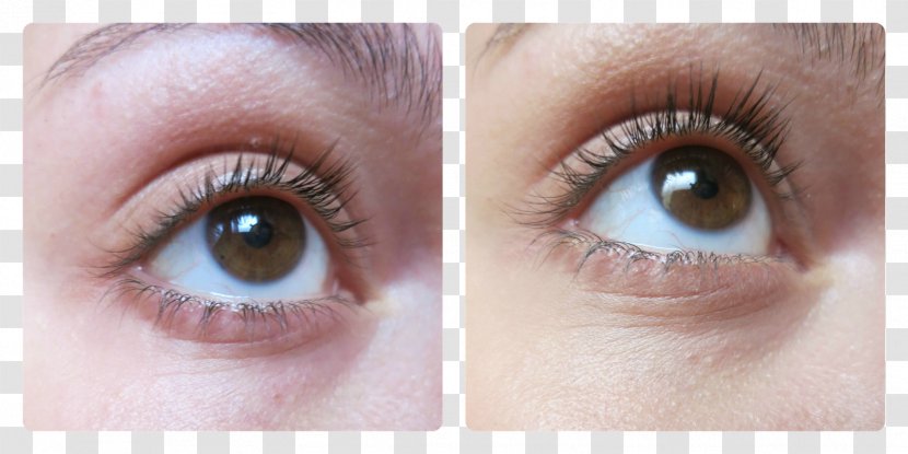 Eyelash Extensions Mascara Eye Shadow Iris - Eyebrow - Rai Transparent PNG