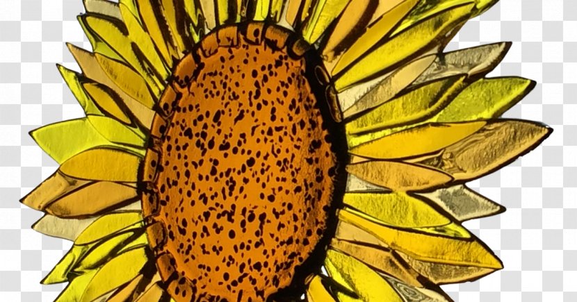 Common Sunflower Fused Glass Fusing Art - Artist Transparent PNG