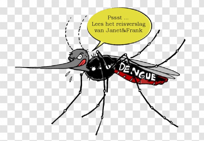 Yellow Fever Mosquito Dengue Brazil Insect Transparent PNG