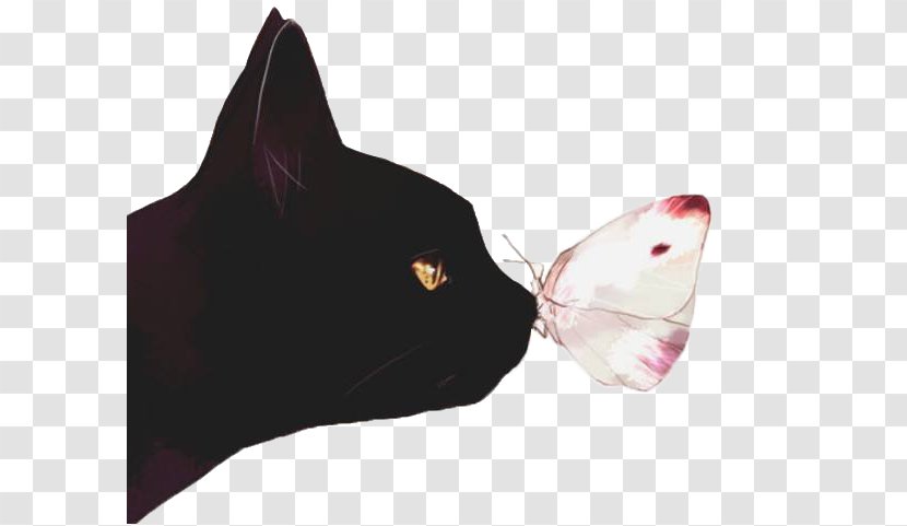 Black Cat Kitten Butterfly Illustration - Drawing - And Transparent PNG