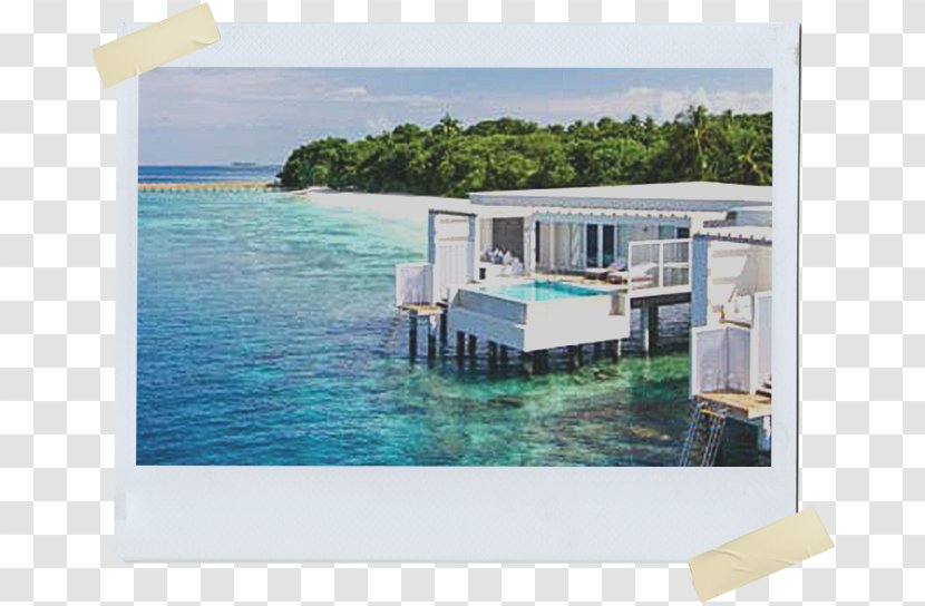 Amilla Fushi Resort Hotel All-inclusive Caribbean - Tourism Transparent PNG