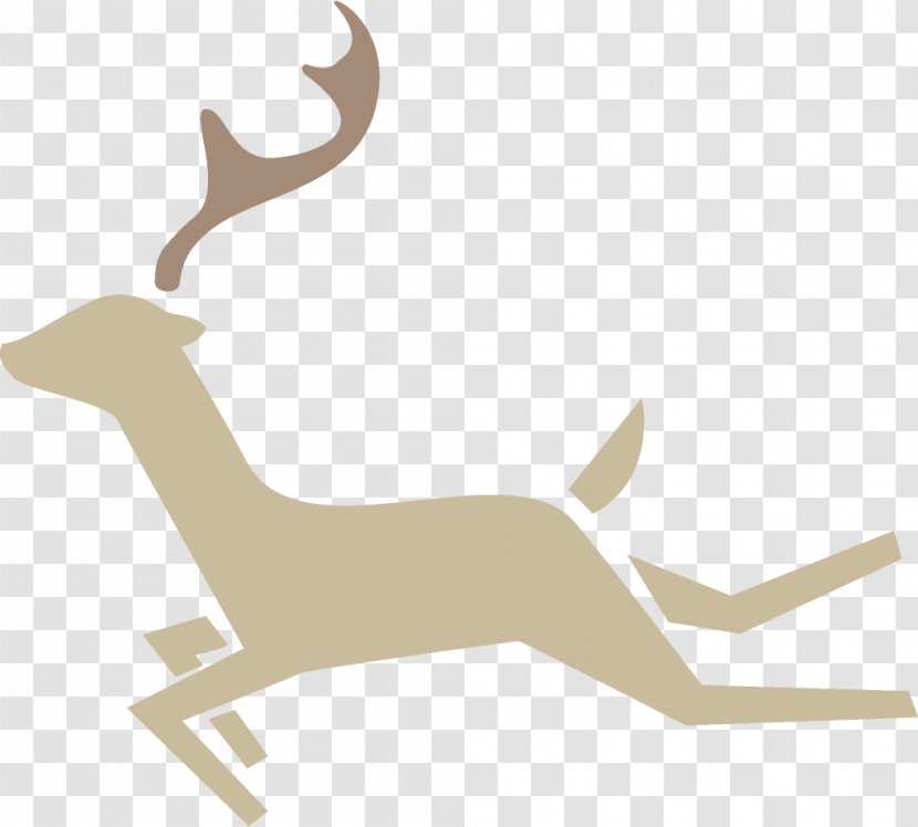 Reindeer Christmas - Horn - Wildlife Elk Transparent PNG