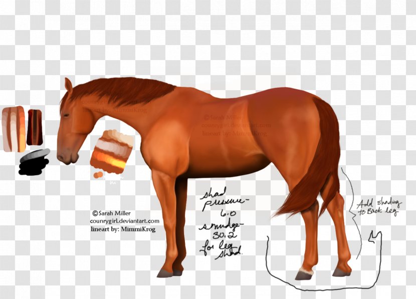 Desktop Wallpaper Pony Mustang Stallion Cash Advance - Autumn For Muscle Transparent PNG