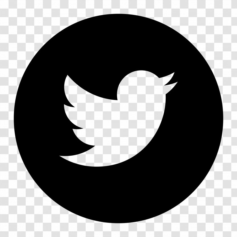 Clip Art - Bird - Twitter Transparent PNG