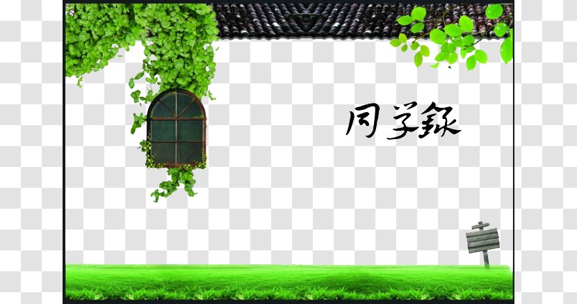 Classmates,Senior Year,window,Green Leaves - Pixel - Plant Transparent PNG