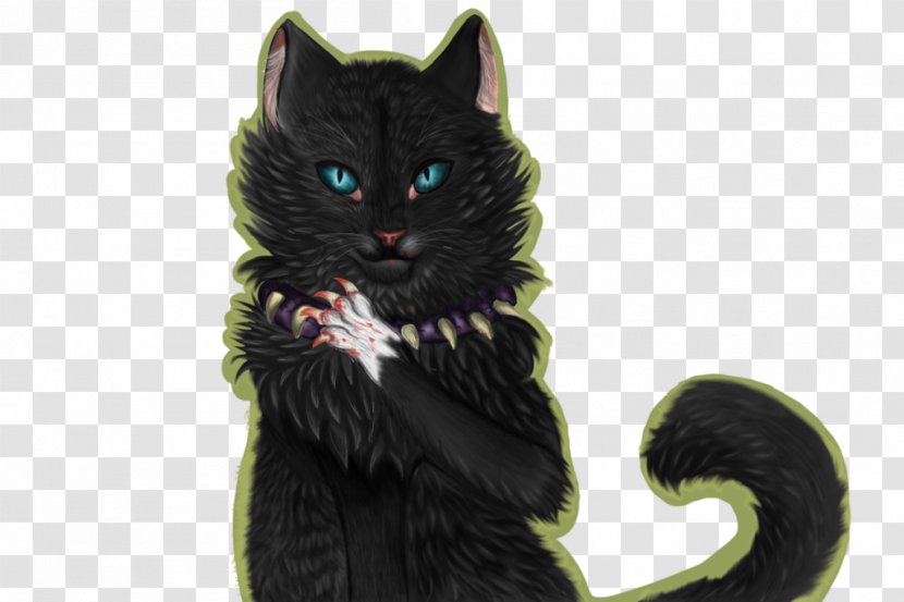 Black Cat Kitten Domestic Short-haired Whiskers - Fur Transparent PNG