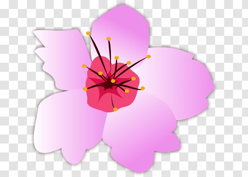 Flower Mallows Lilac Floral Design Plant - Violet - Sahua Vector Transparent PNG
