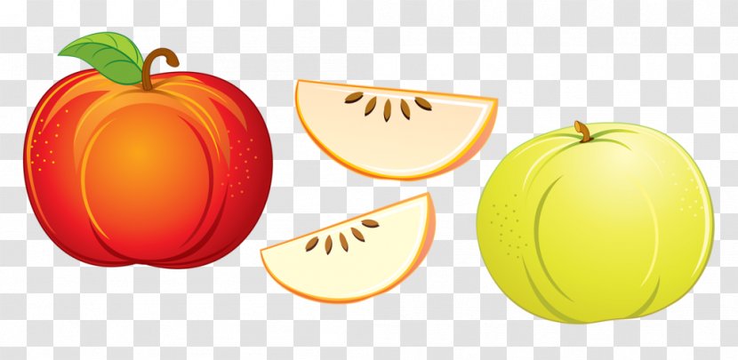 Pumpkin Muskmelon Fruit - Diet Food - Red Melon Transparent PNG