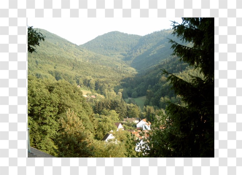 Uwe U. Susanne Bodinus Schweighof Biome Mount Scenery Nature Reserve - Recreation - Forest Transparent PNG