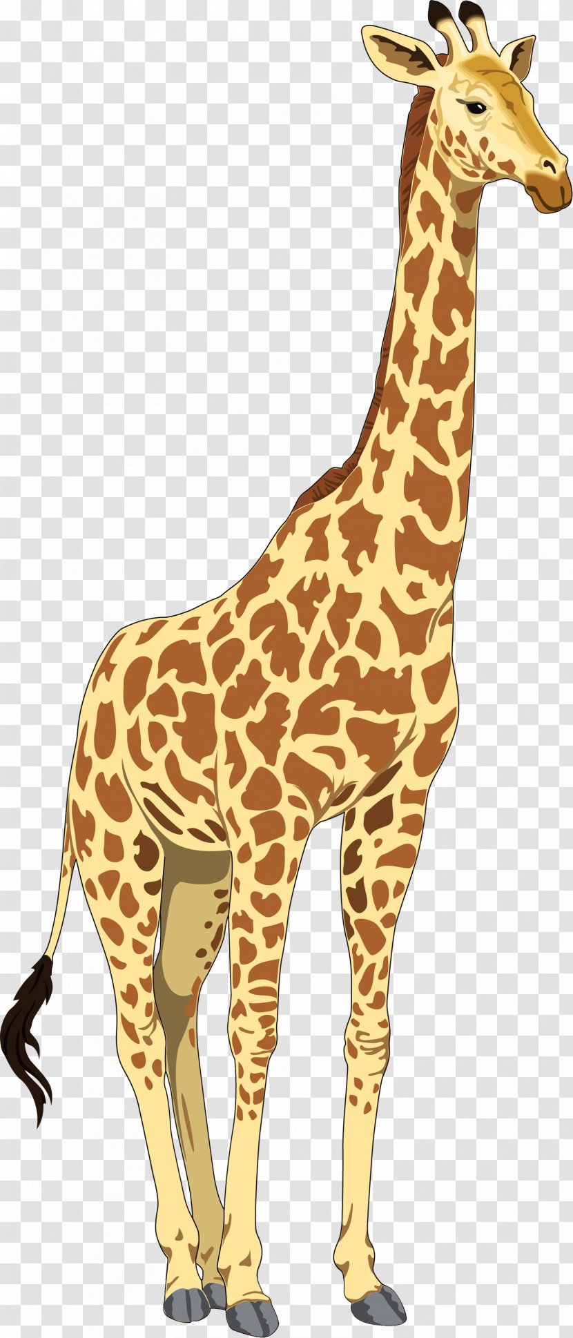 Baby Giraffes Clip Art - Mammal - Giraffe Cartoon Transparent PNG