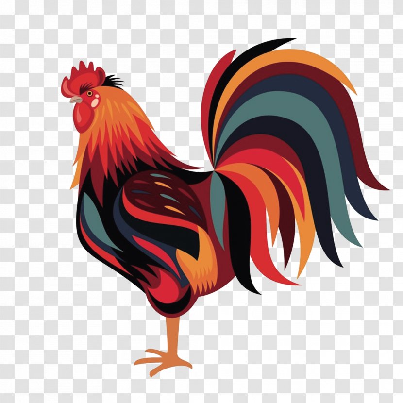 Wyandotte Chicken Rooster Zazzle Download - Cartoon Big Tail Cock Transparent PNG