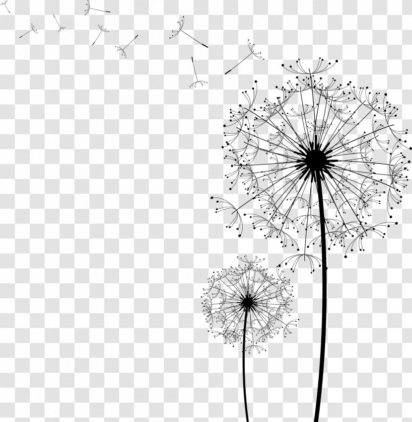 Drawings And Paintings Doodle Sketch Image - Daisy Family - Heracleum Plant Transparent PNG