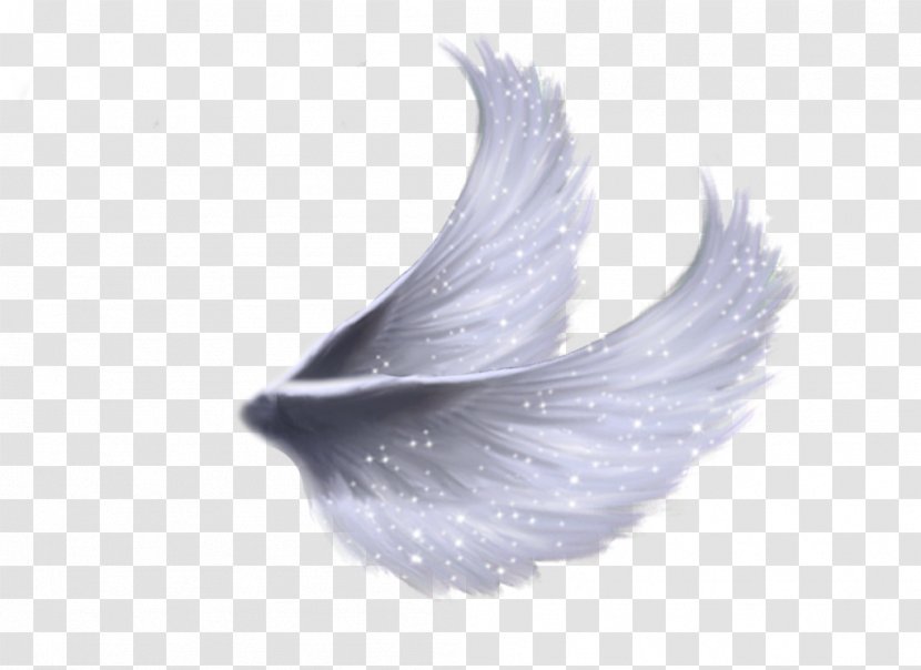 Wing Image Editing Clip Art - Silhouette - Feathers White Transparent PNG