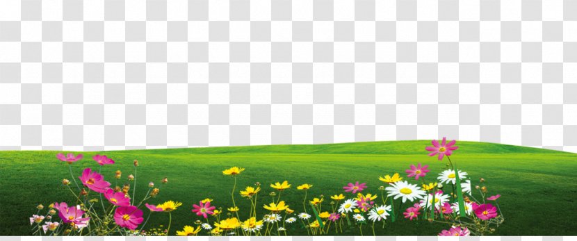 Chemical Element Pattern - Substance - Effect Element,Floral Elements,Flowers,green,lawn Transparent PNG