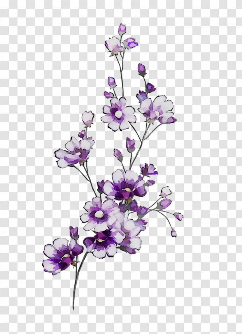 Lavender Cut Flowers Floral Design Plant Stem - Delphinium - Petal Transparent PNG