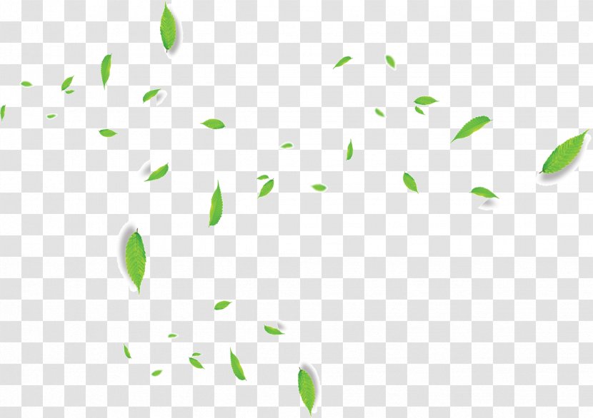 Green Leaf - Symmetry - Floating Leaves Transparent PNG