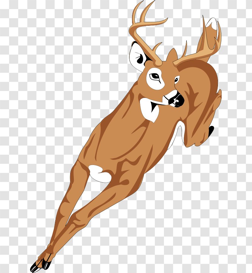White-tailed Deer Clip Art - Line - Free Pictures Transparent PNG