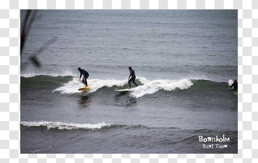 Surfing Surfboard Bodyboarding Inlet Wind Wave Transparent PNG