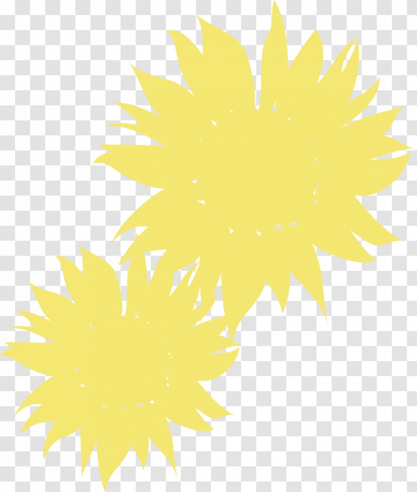 Common Sunflower Petal Transparent PNG