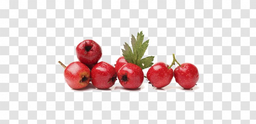Barbados Cherry Common Hawthorn Berries Stock.xchng Food - Fruit Transparent PNG