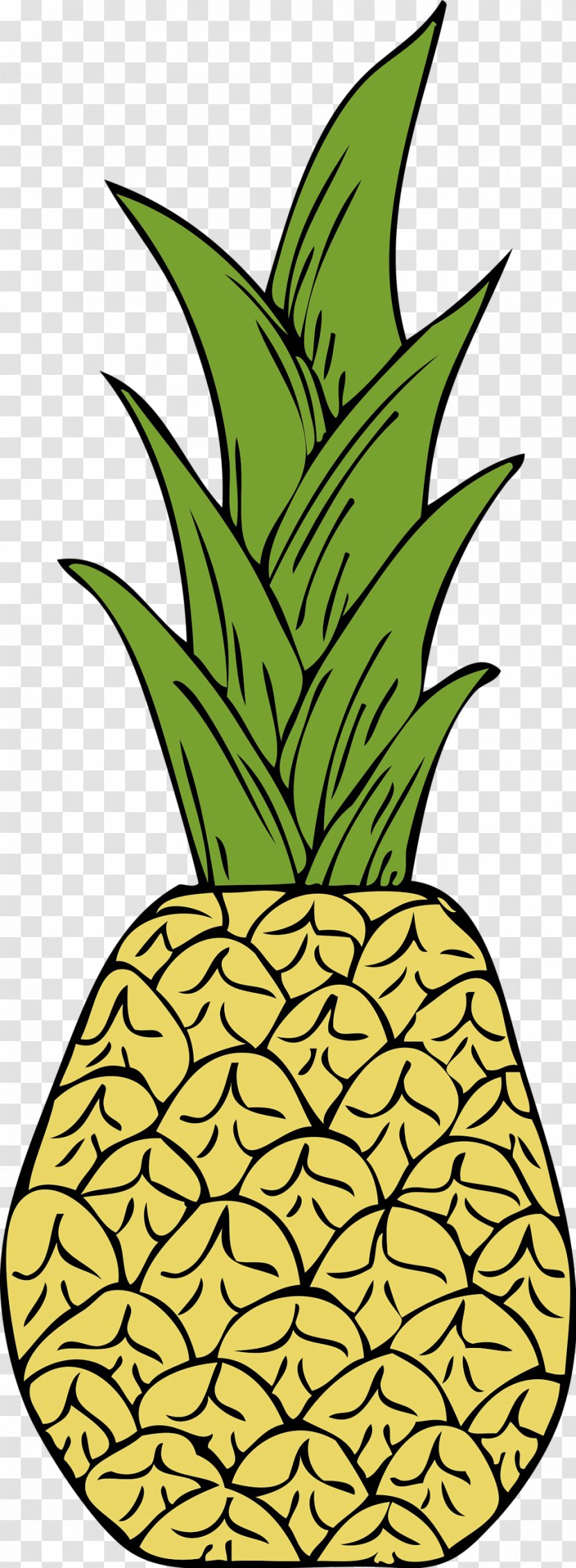 Pineapple Clip Art - Plant Stem Transparent PNG