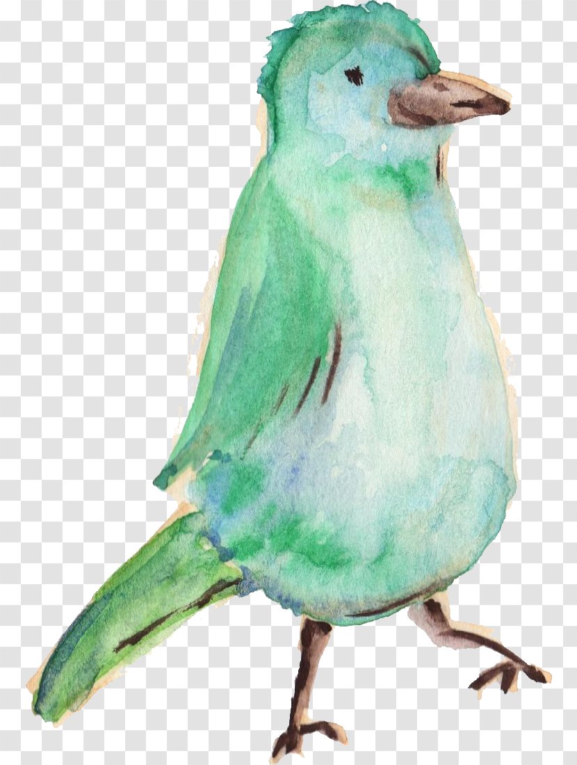 Hummingbird Parrot Parakeet - Watercolor Animals Transparent PNG