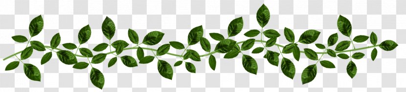 Black And White Logo Plant Stem - Line Art - Leaf Transparent PNG